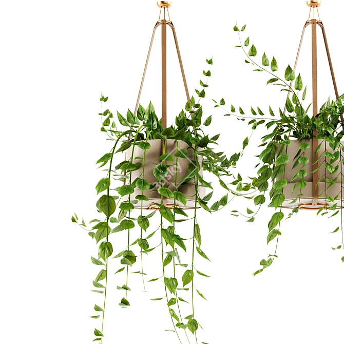 Hanging Ivy Plants Set25 Pot 3D model image 4