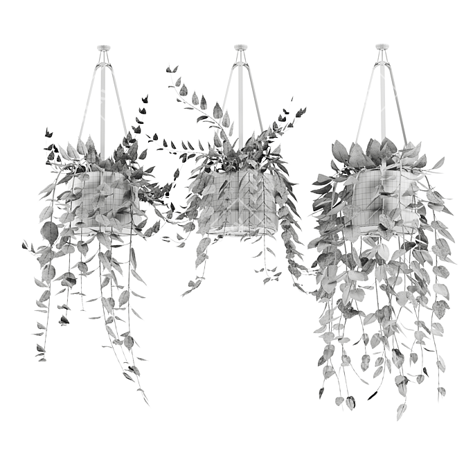 Hanging Ivy Plants Set25 Pot 3D model image 5