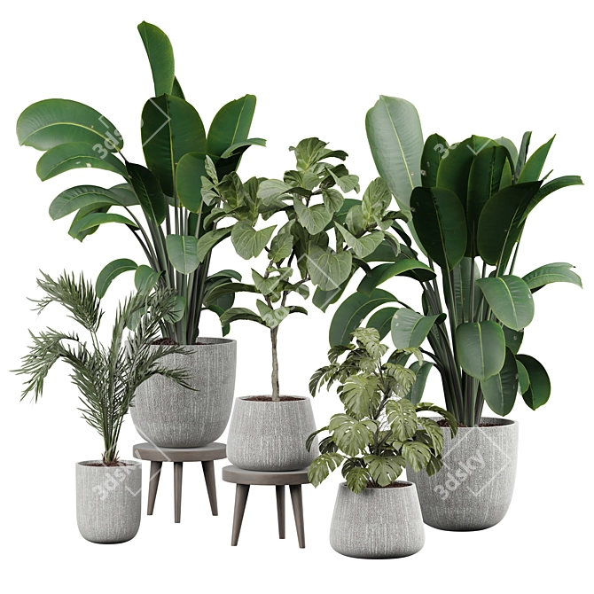 Modern Indoor Plant Decor 3D 3D model image 1