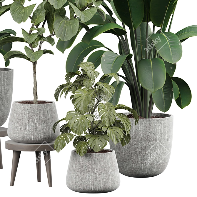 Modern Indoor Plant Decor 3D 3D model image 2