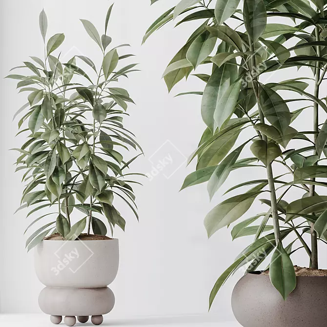 Variety Indoor Plant Set Collection 3D model image 3