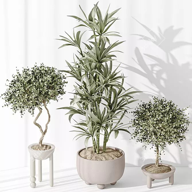 Variety Indoor Plant Set Collection 3D model image 4