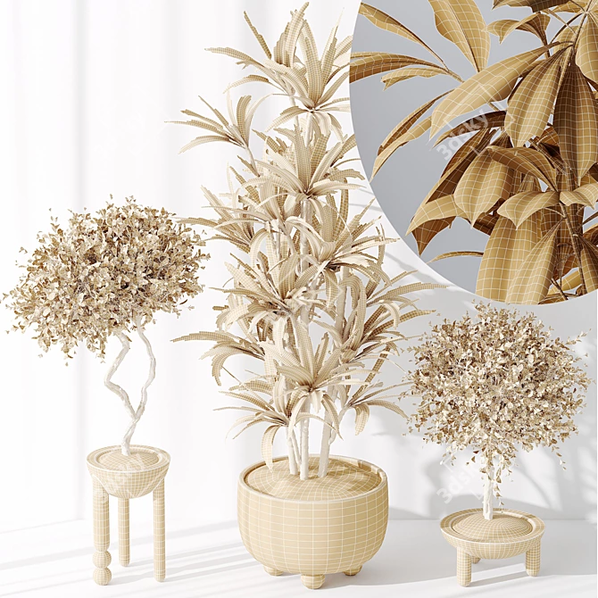 Variety Indoor Plant Set Collection 3D model image 6