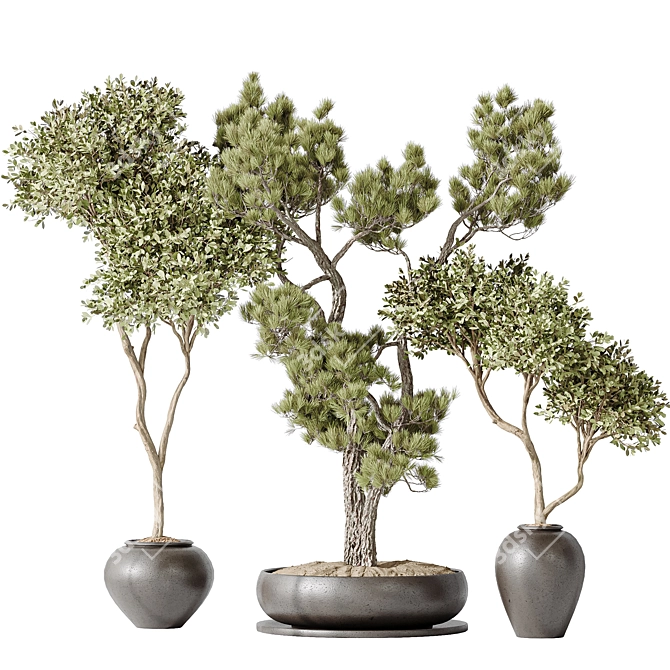 3D Indoor Plant Collection Set 3D model image 1