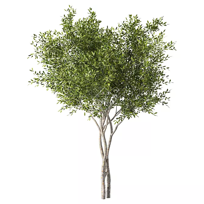 Tall Evergreen Tree Sculpture 3D model image 1