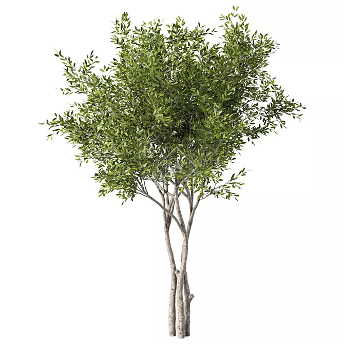 Tall Evergreen Tree Sculpture 3D model image 2