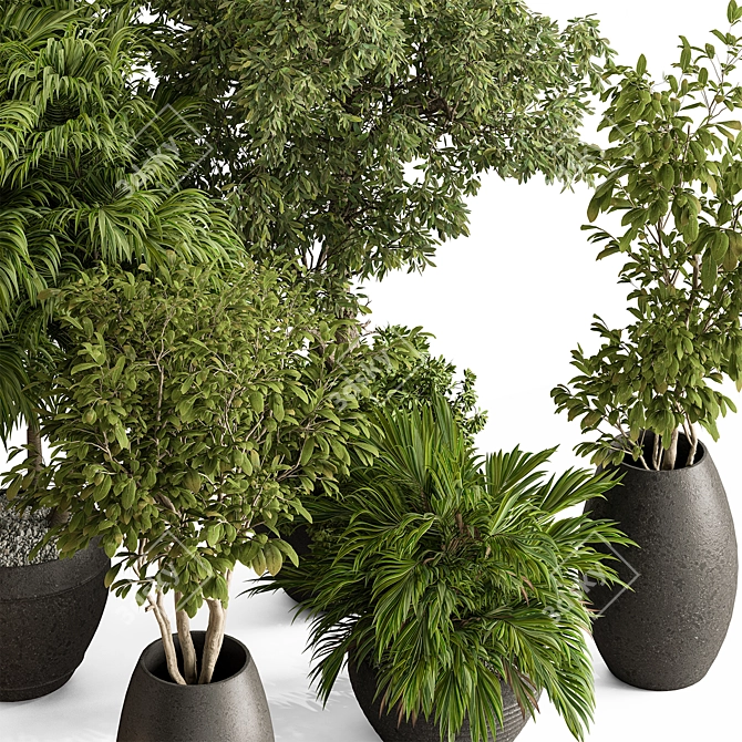 Luxury Foliage Tree Pot 668 3D model image 2