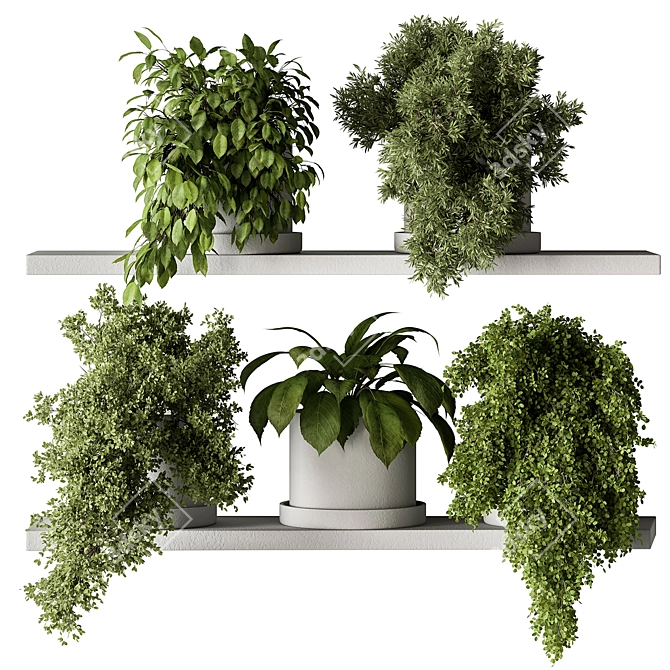 Leafy Oasis - Hanging Jungle Vibe 3D model image 1