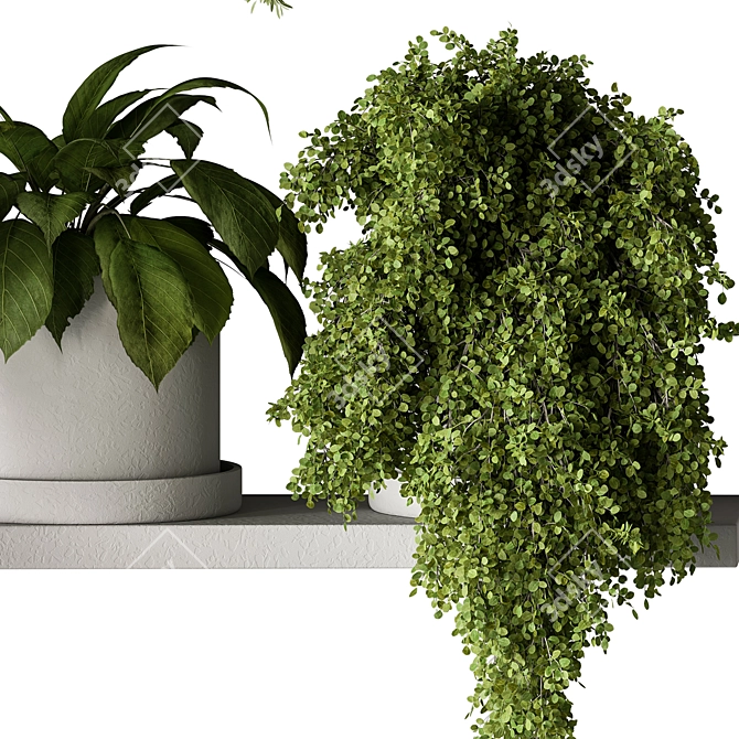 Leafy Oasis - Hanging Jungle Vibe 3D model image 3