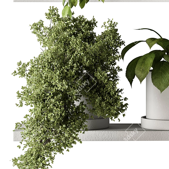 Leafy Oasis - Hanging Jungle Vibe 3D model image 4