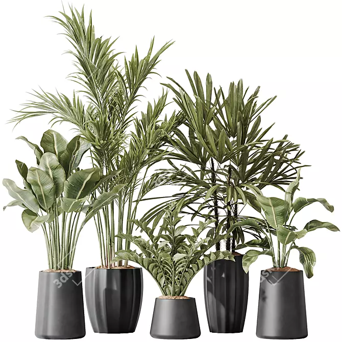 Variety Indoor Plant Set 40 3D model image 1