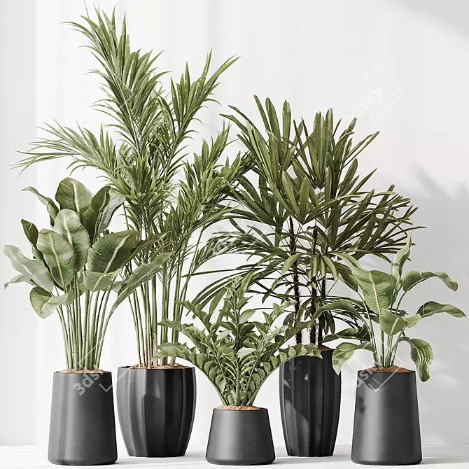 Variety Indoor Plant Set 40 3D model image 2