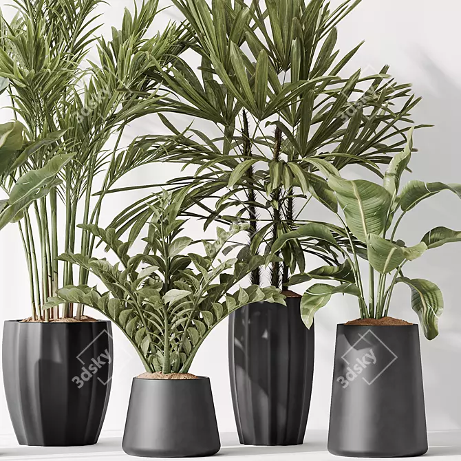 Variety Indoor Plant Set 40 3D model image 4