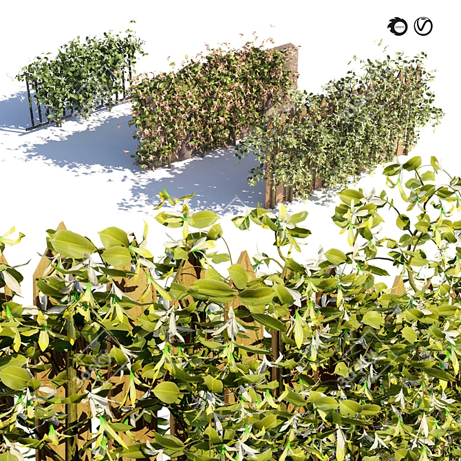 Honeysuckle Collection for 3D Renders 3D model image 1