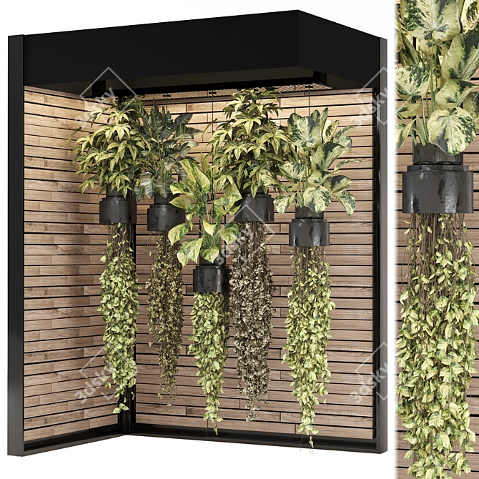  2015 Indoor Hanging Plants Collection 3D model image 1