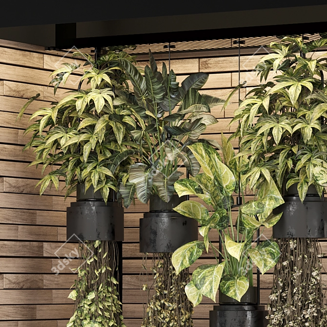  2015 Indoor Hanging Plants Collection 3D model image 2