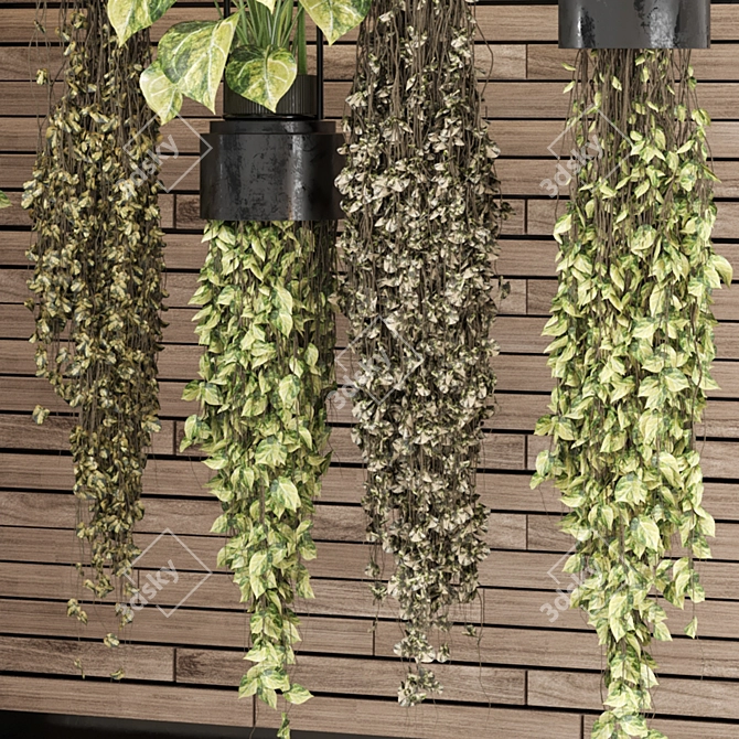  2015 Indoor Hanging Plants Collection 3D model image 3