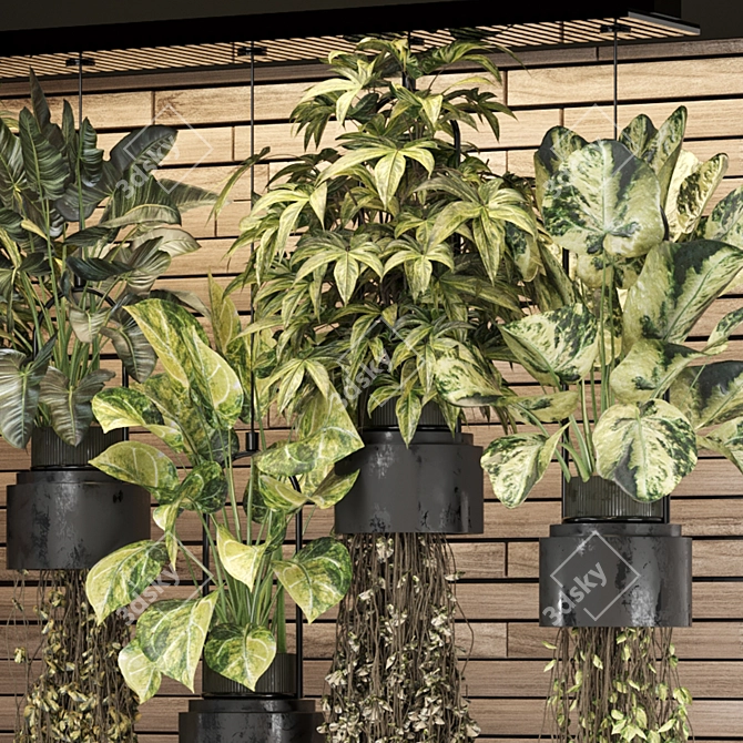  2015 Indoor Hanging Plants Collection 3D model image 4