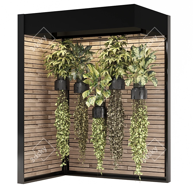  2015 Indoor Hanging Plants Collection 3D model image 5