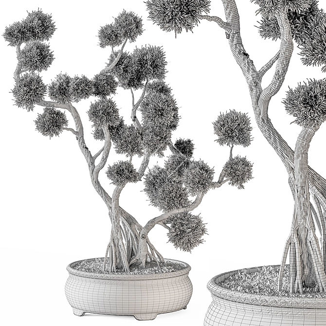 Bonsai Beauty - Indoor Plant 3D model image 4