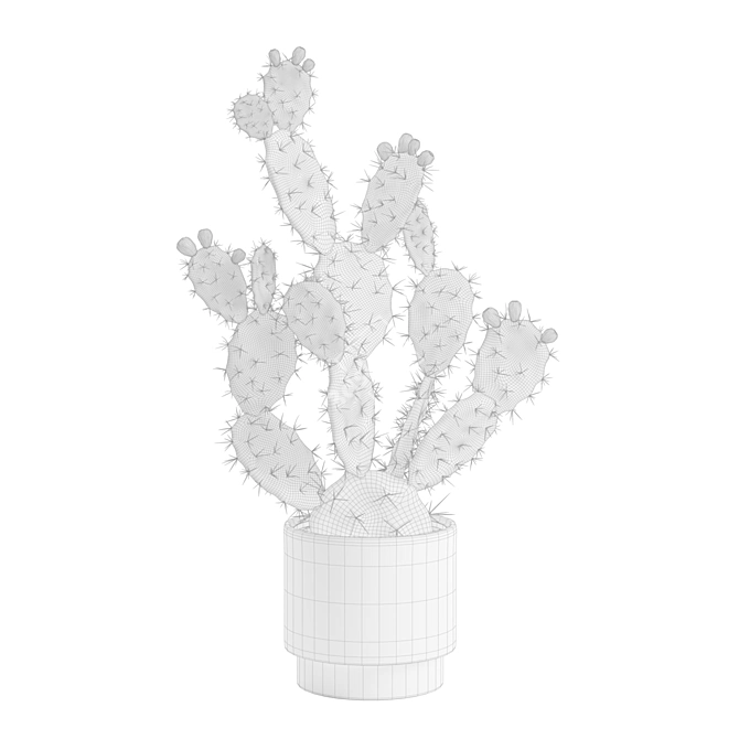 Prickly Pear Cactus Houseplant 3D model image 3