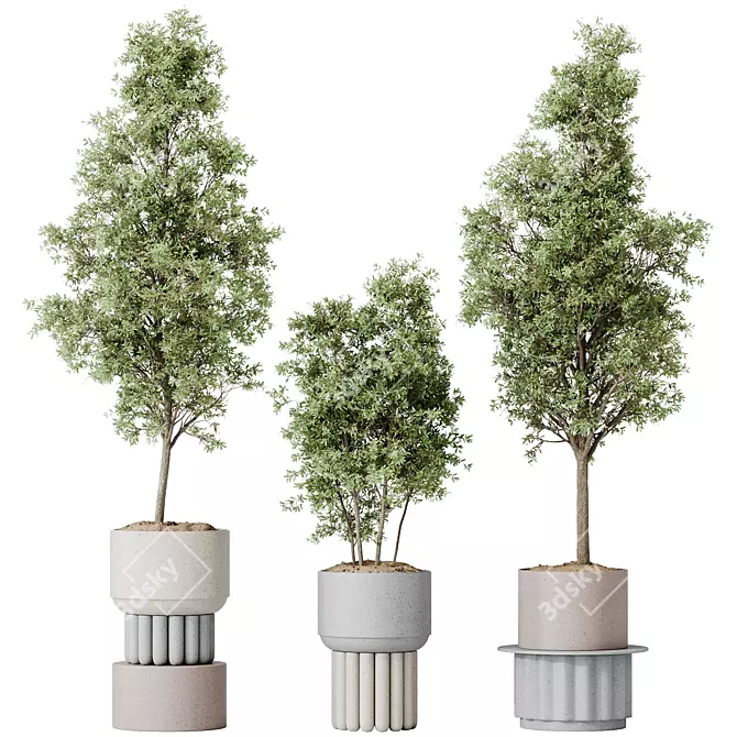 Elegant Olive Tree Set 3D model image 1