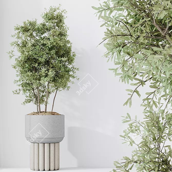 Elegant Olive Tree Set 3D model image 2