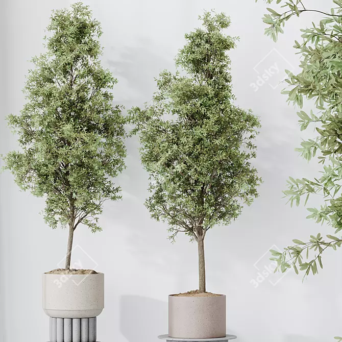 Elegant Olive Tree Set 3D model image 3