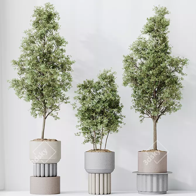 Elegant Olive Tree Set 3D model image 4