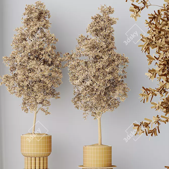 Elegant Olive Tree Set 3D model image 5