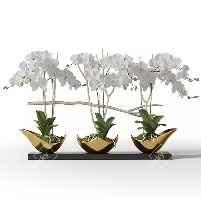 Gilded Orchids in Black Vase 3D model image 1