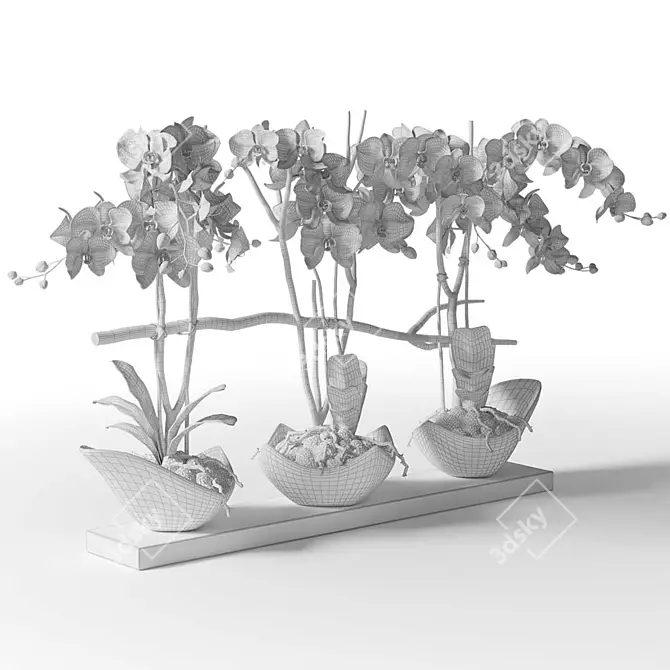 Gilded Orchids in Black Vase 3D model image 3