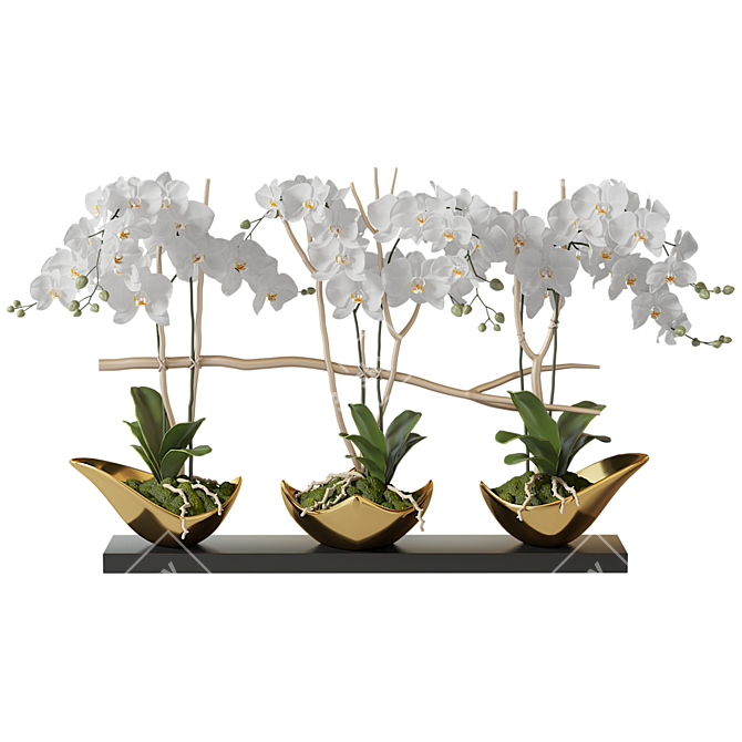 Gilded Orchids in Black Vase 3D model image 5