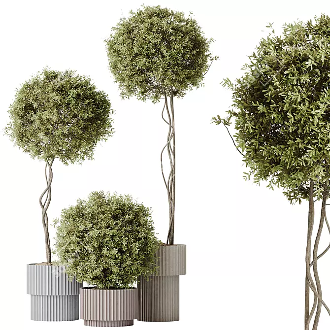 Versatile Olive Tree Set - Yardzen 3D model image 1