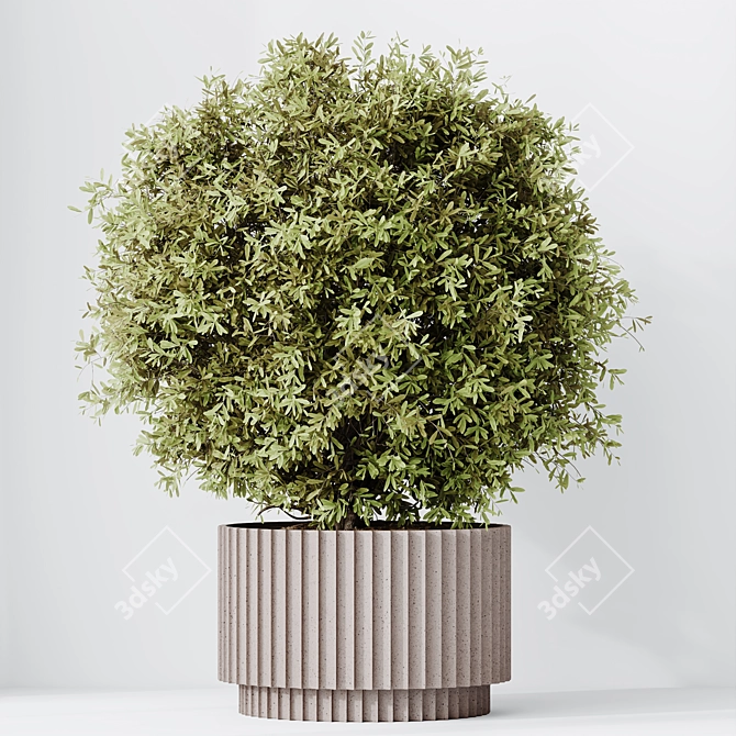 Versatile Olive Tree Set - Yardzen 3D model image 3