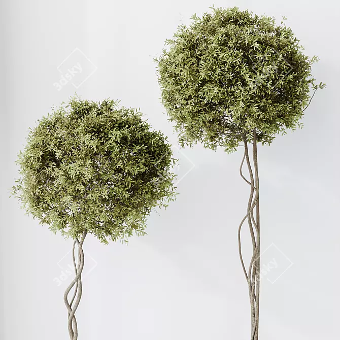 Versatile Olive Tree Set - Yardzen 3D model image 4