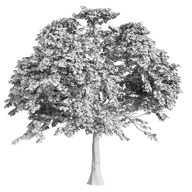 Oak Tree Bundle - 3D Models 3D model image 4