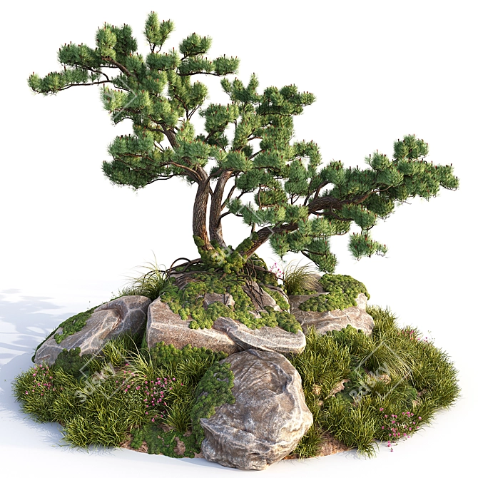 Stone Pine Landscaping Solution 3D model image 1