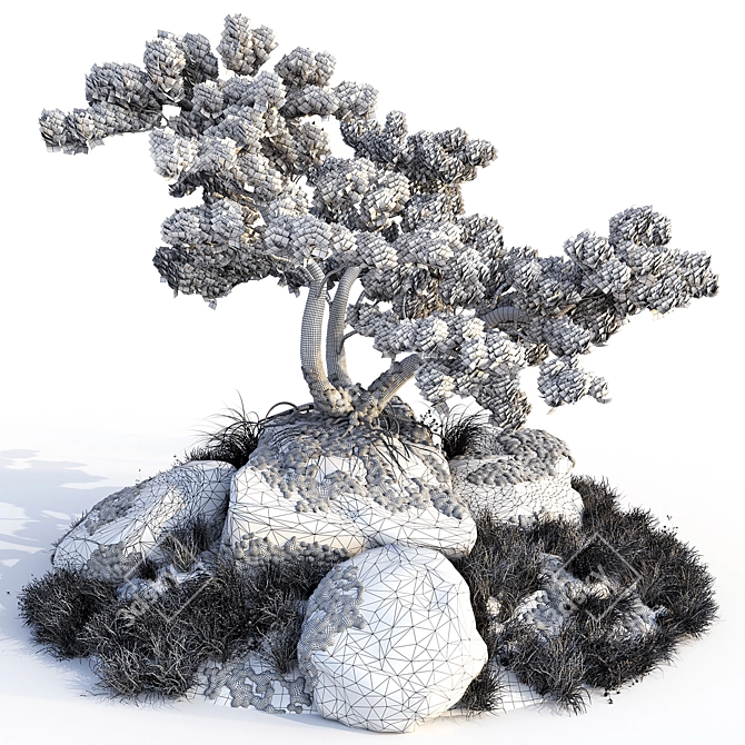 Stone Pine Landscaping Solution 3D model image 5