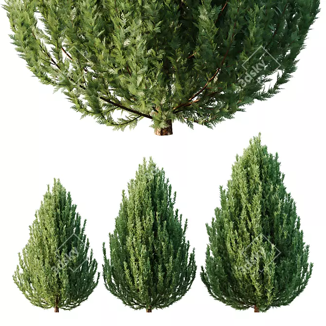 Height-varied Pin Bush Models 3D model image 1