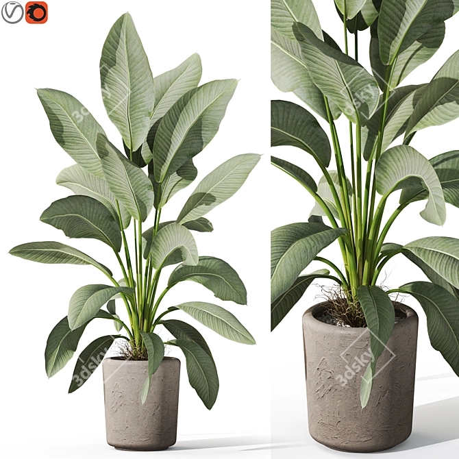 Botanic Delightful Greenery Bundle 3D model image 1