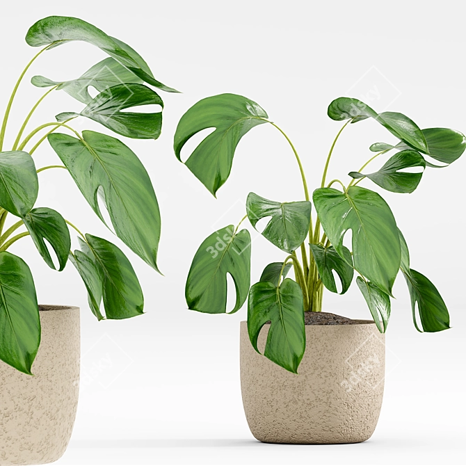 Greenery Oasis Set 2018 3D model image 4