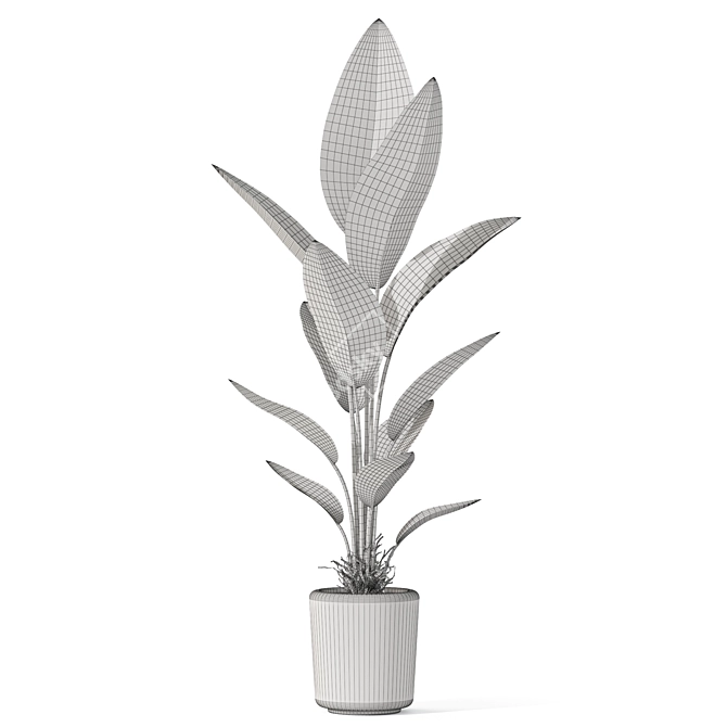 Botanical Bliss Collection - 1069 3D model image 3