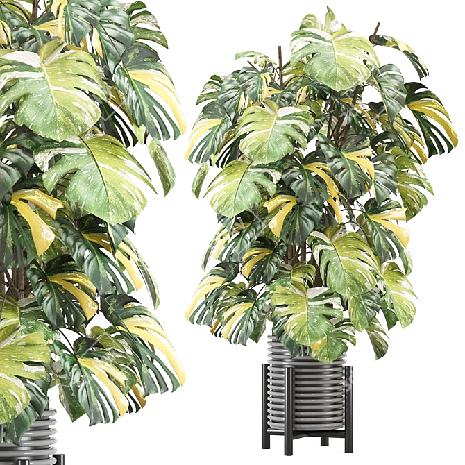  Indoor Plants Collection 2015 3D model image 1