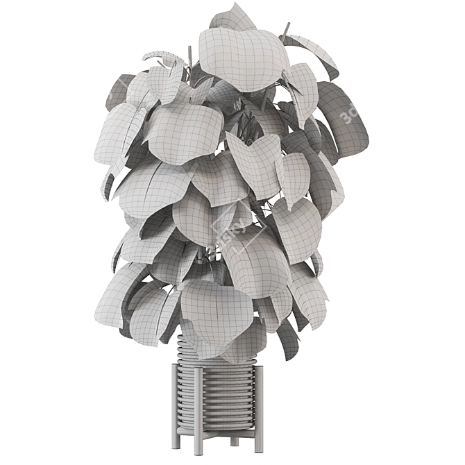  Indoor Plants Collection 2015 3D model image 5