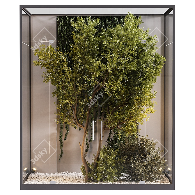 Glass Box Indoor Plant Display 3D model image 1
