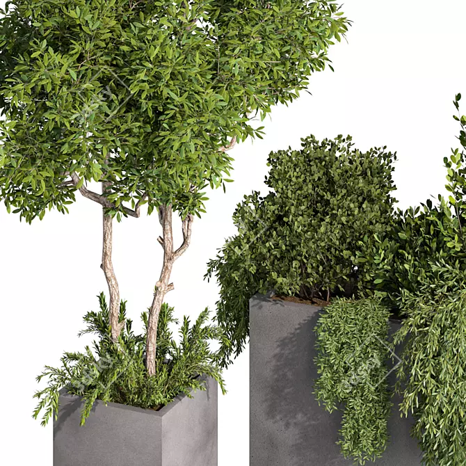 Rustic Garden Trio Set 3D model image 3