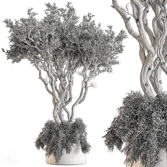 Botanical Beauty Tree in Pot 3D model image 4