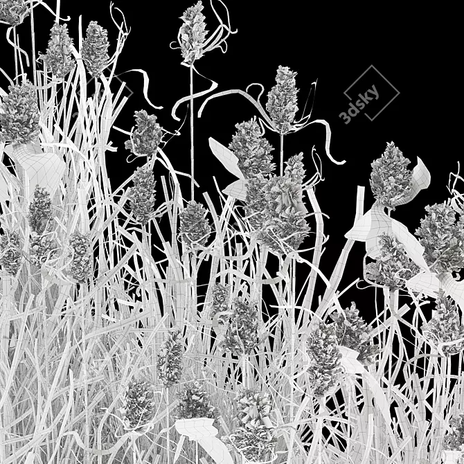 Wild Reed Plant 3D Model 3D model image 5