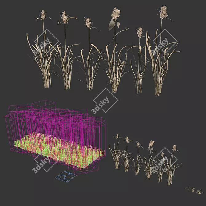 Wild Reed Plant 3D Model 3D model image 6